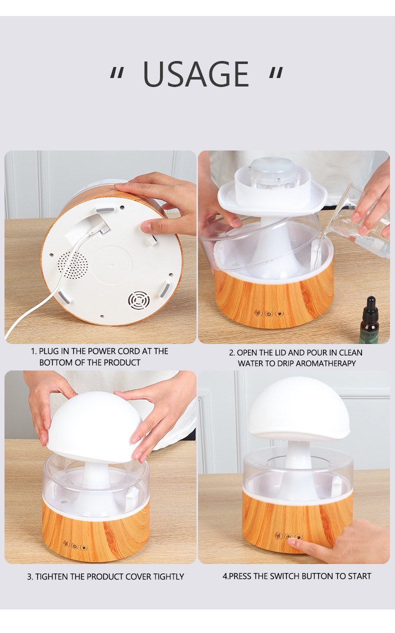 Rain Cloud Humidifier by Ambianest